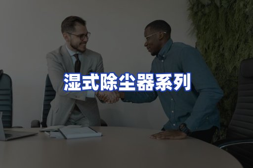 湿式除尘器系列